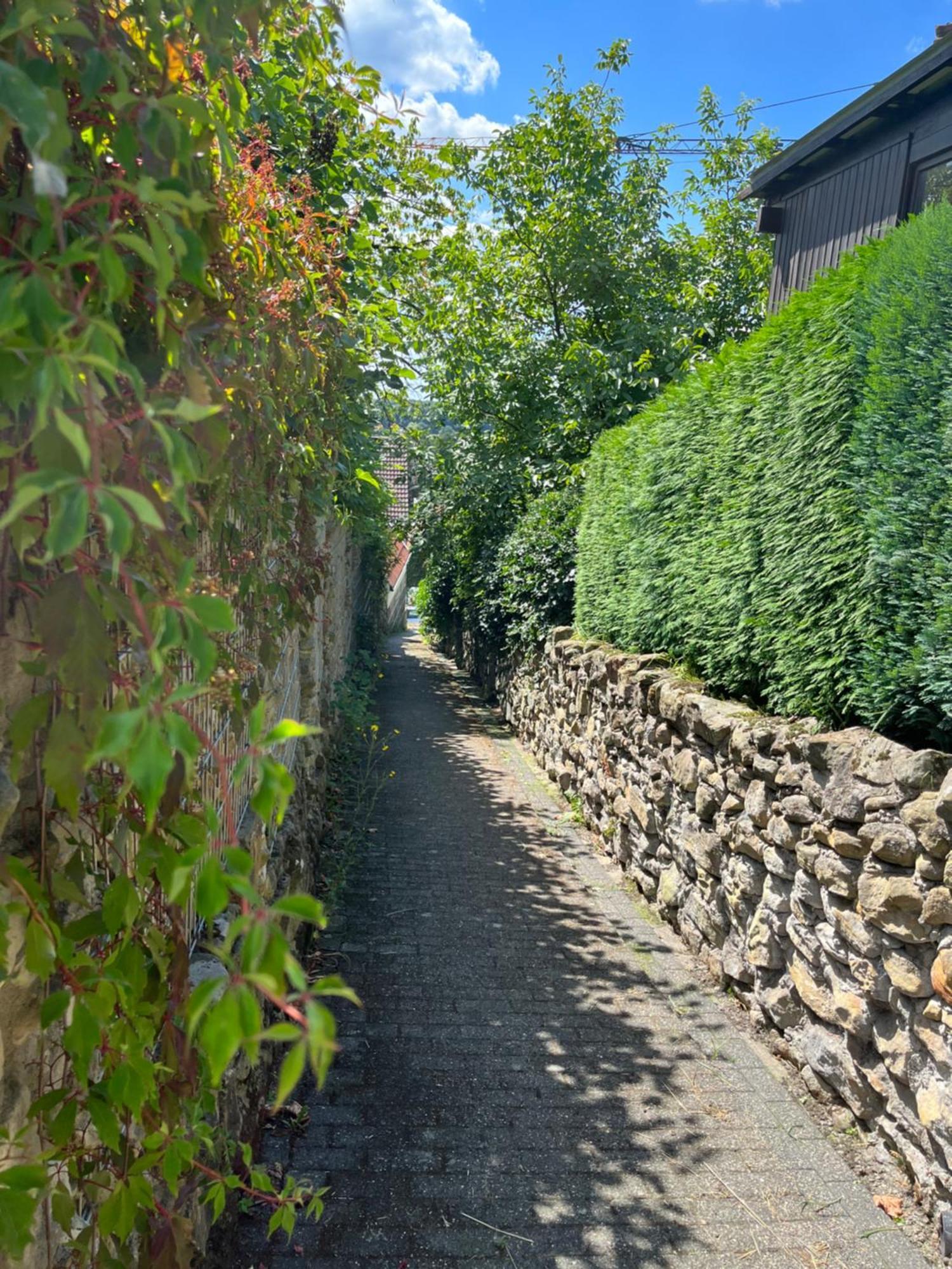 "An Der Alten Muehle 1" Fewo 120 Qm, Zwei Grosse Schlafzimmer, Suedbalkon, Gartenterrasse & Wallbox บัดเบนท์ไฮม์ ภายนอก รูปภาพ